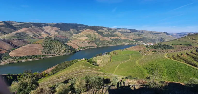 Passeio Privado ao Vale do Douro com Visita