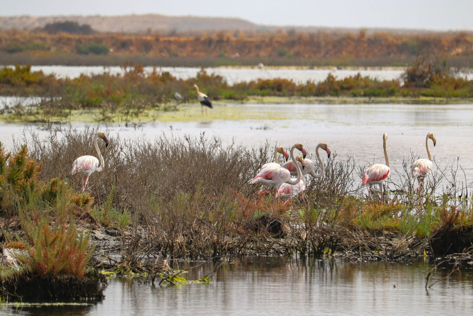 Algarve Seaside Tour - Private