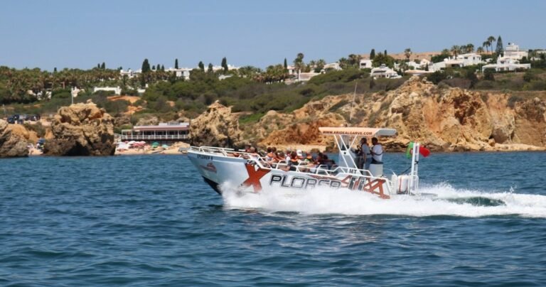 X Plorer Private Tours: 2h30