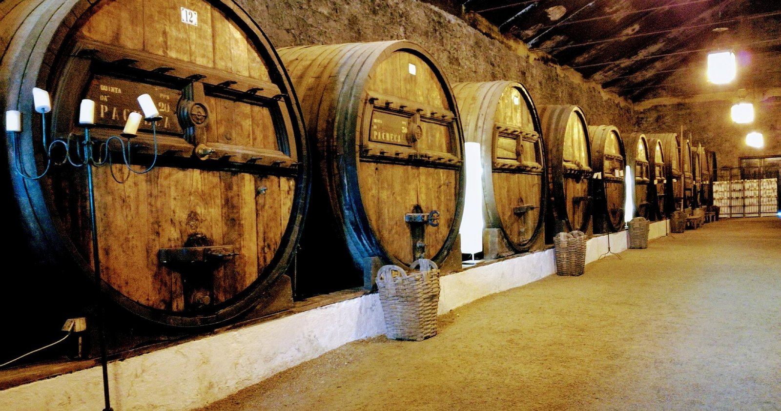 Douro Valley Wine Tour with 3 Wineries and Lunch