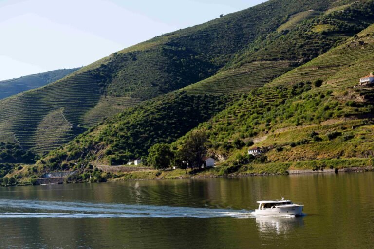 Douro Vinhateiro - 3h Passeio Exclusivo Luxury Boat Tour