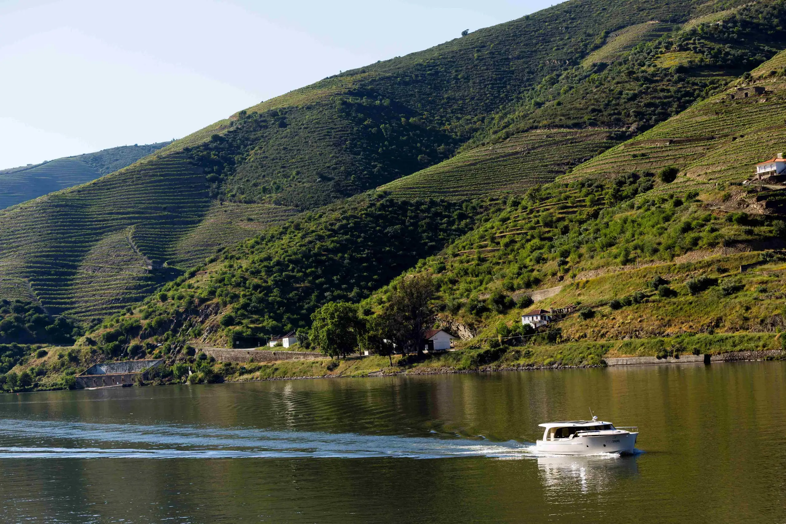 Douro Vinhateiro - 3h Passeio Exclusivo Luxury Boat Tour