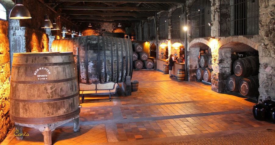 Porto Bike Tour Wine and Gastronomy