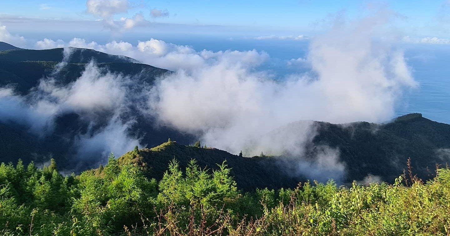 VAN Tour - Nordeste | Full Day