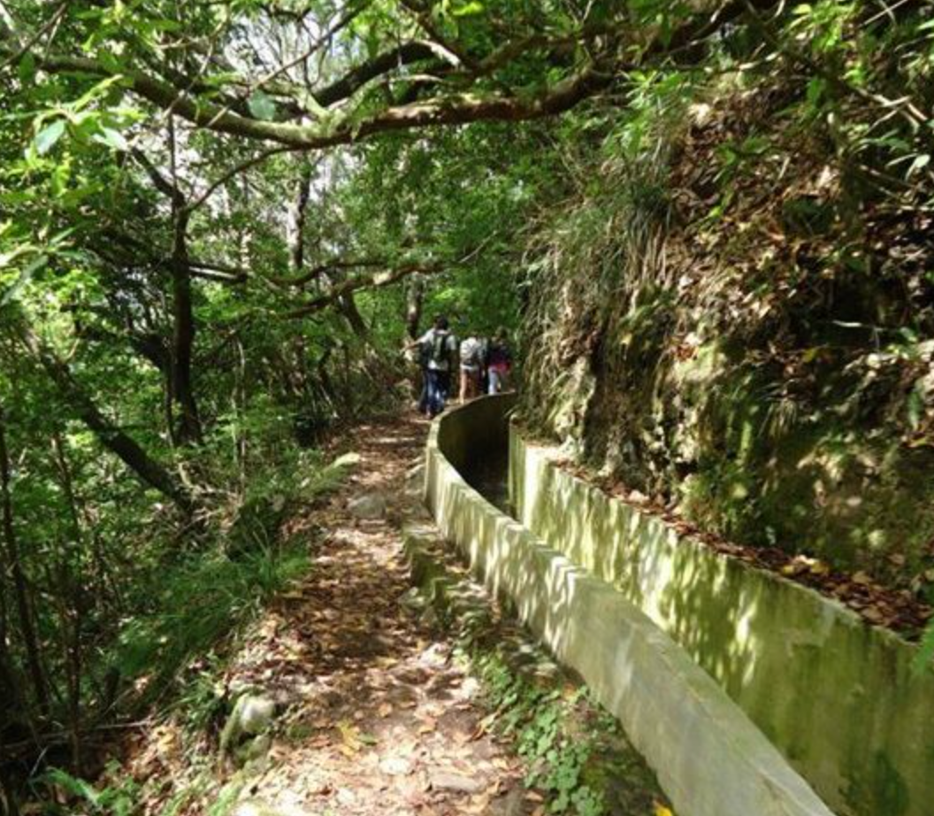 Levada - Ribeiro frio - Portela