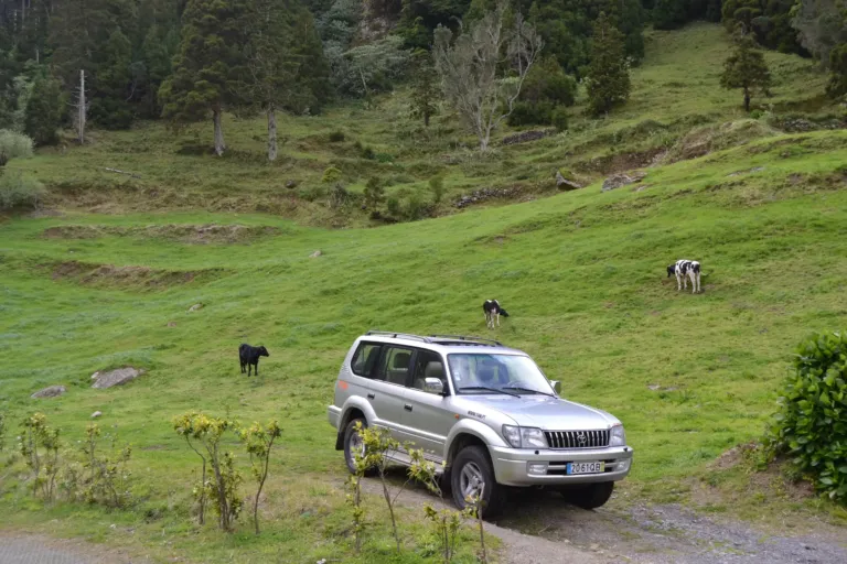 Half-Day Private Tour 4x4 Sete Cidades