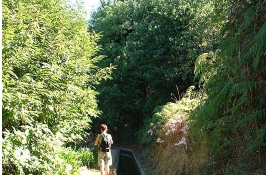 Levada - Prazeres - Ponta do Pargo