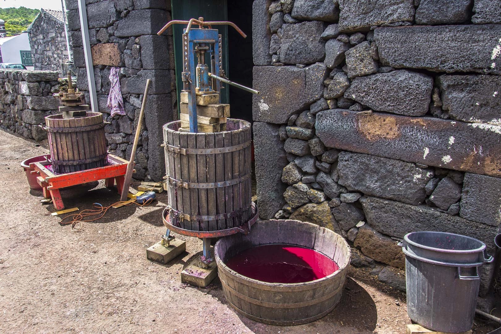 Passeio de Carrinha • Cultura do  Vinho • Meio Dia