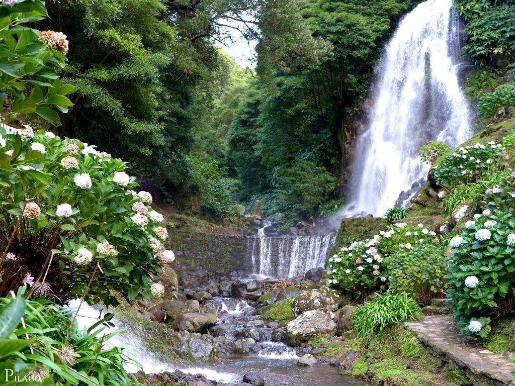 Full-Day Jeep Tour: Northeast Route
