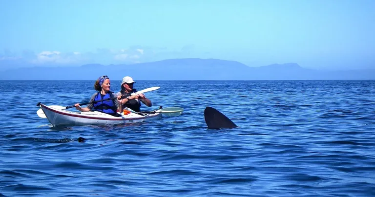 Kayaking