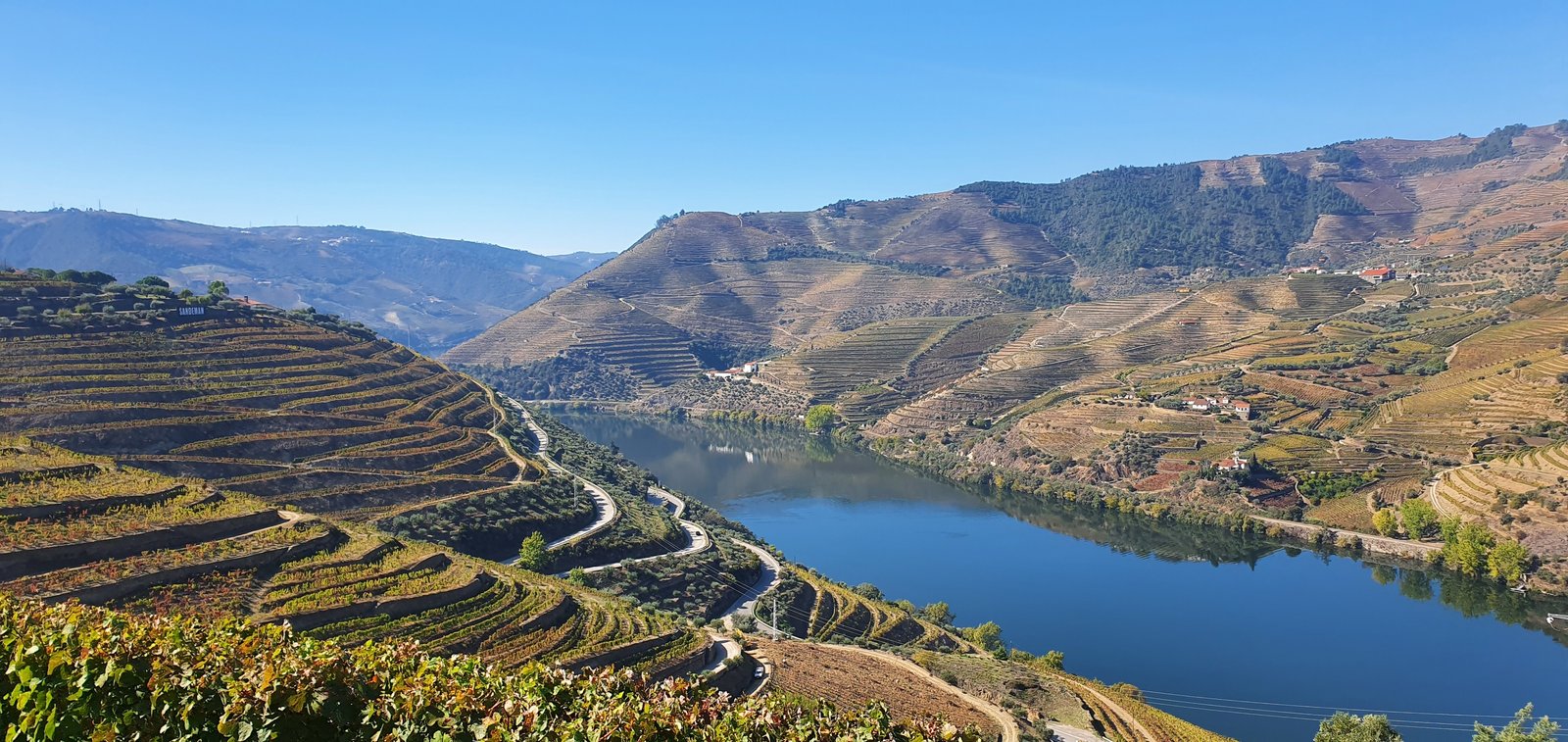 Passeio Privado ao Vale do Douro com Comboio e Vinho Verde
