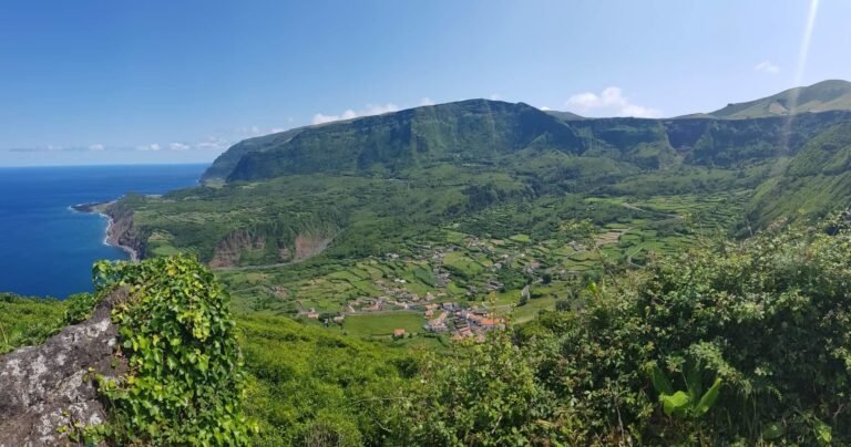 Maravilha Verde Tour em carrinha