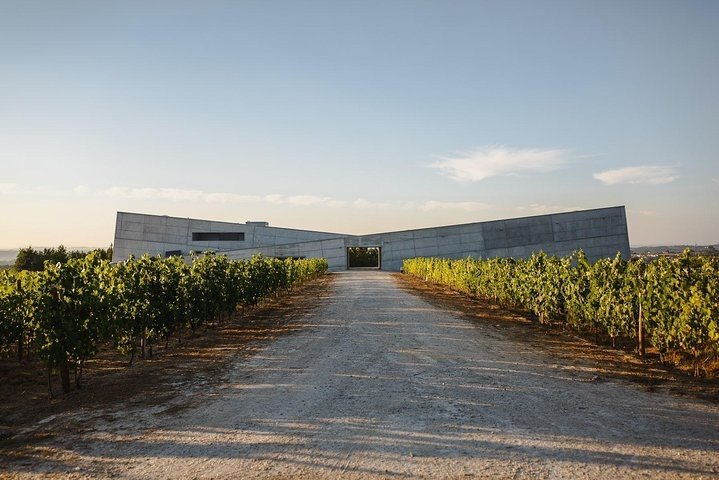 Passeio Privado do Dão: Visite 3 Quintas com Provas de Vinho e Almoço