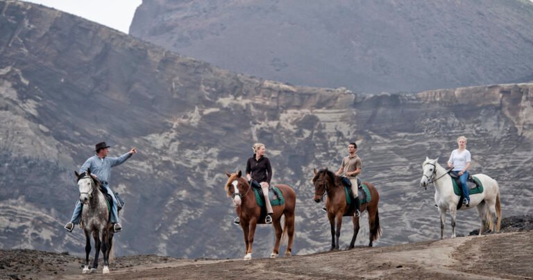 Half Day & Full Day Trails - PRIVATE GUIDE