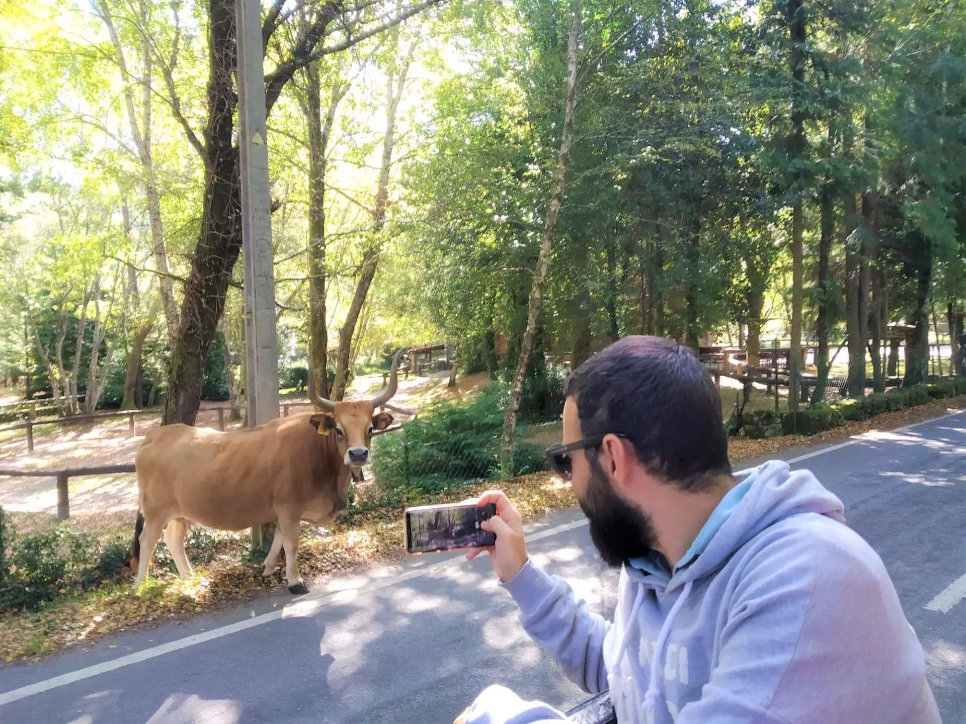 Gerês Tour Privado (Tudo Incluído)