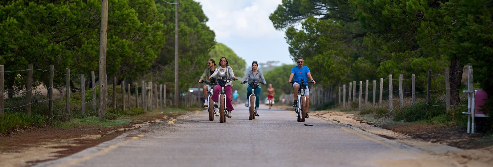 Passeio de Bicicleta Eléctrica pela Floresta