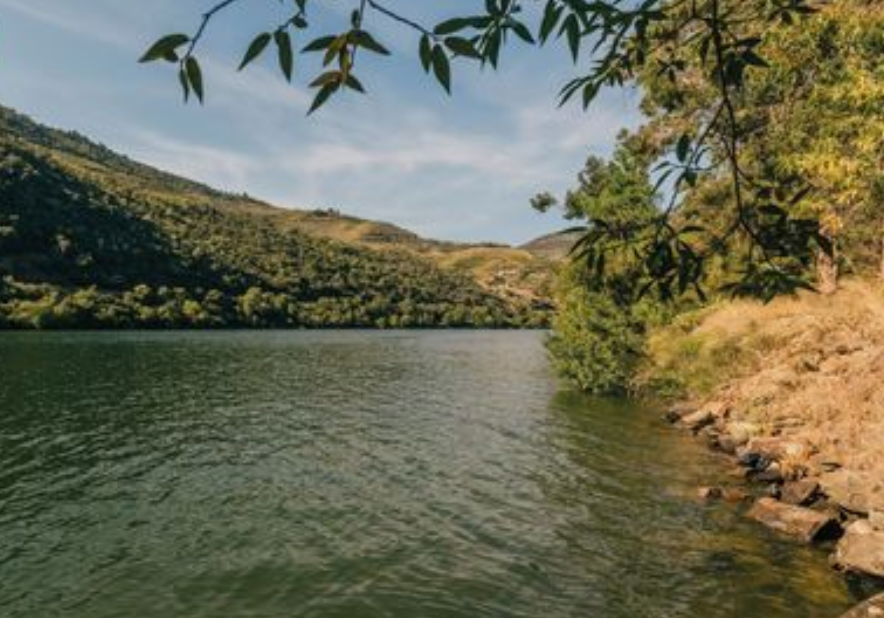 Caminho do Rio (áudio-guia)