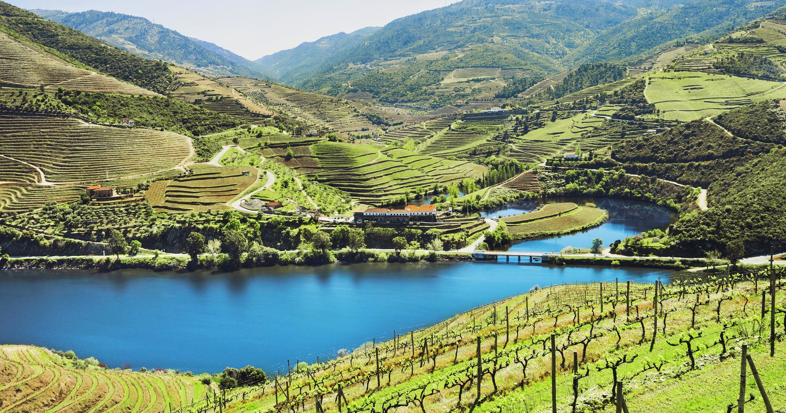 Douro Valley Tour: 2 Wineries