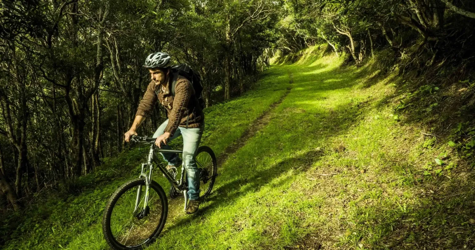 Aventura BTT