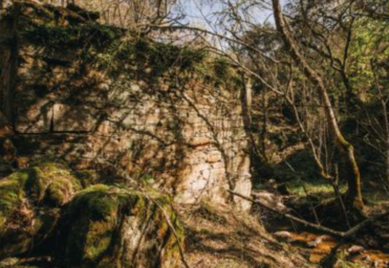 Caminho do Moinho (áudio-guia)