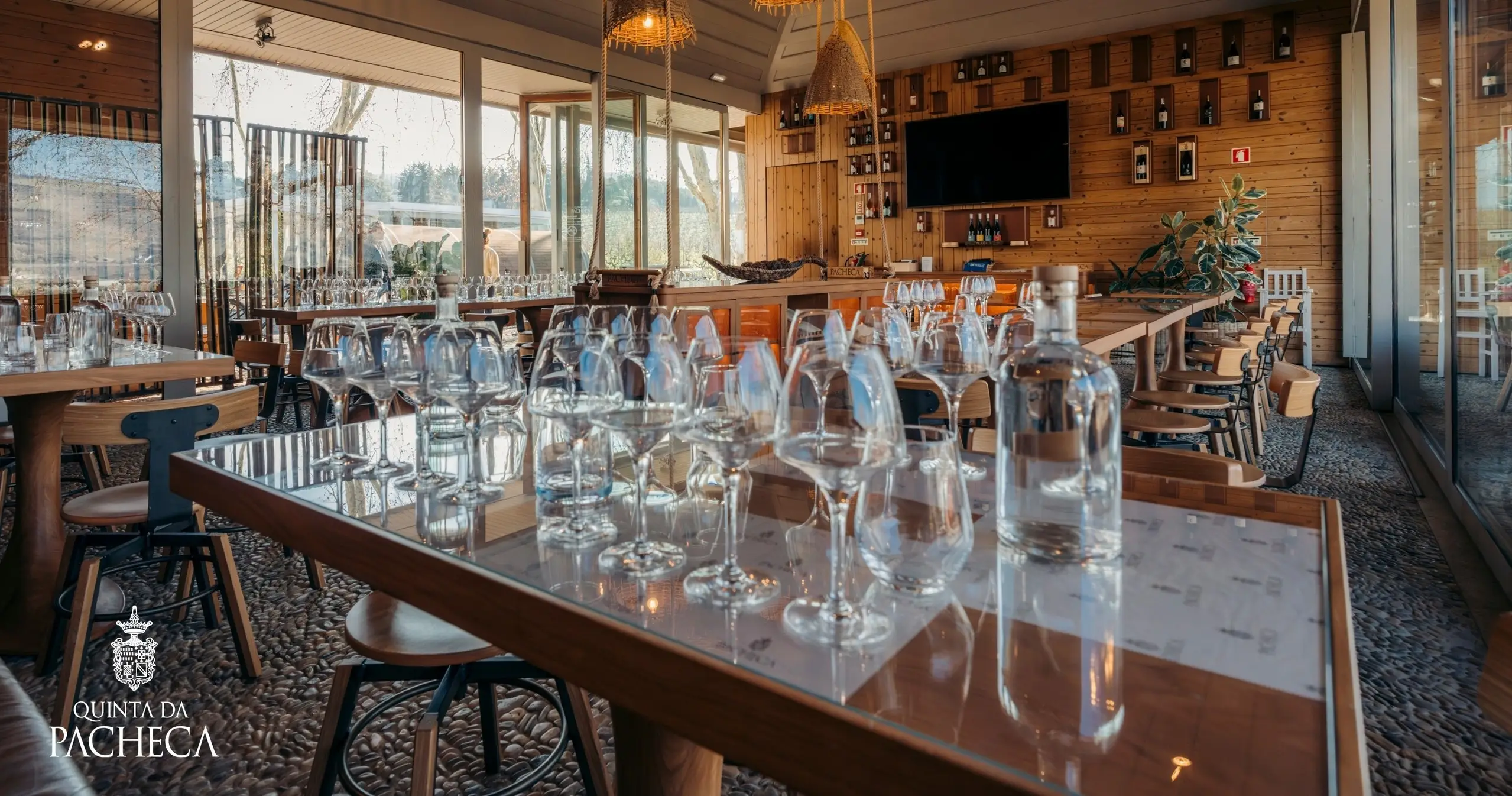 Guided Tour & Wine Tastings