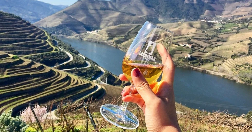 Hand holding a glass of white wine above terraced vineyards and a river