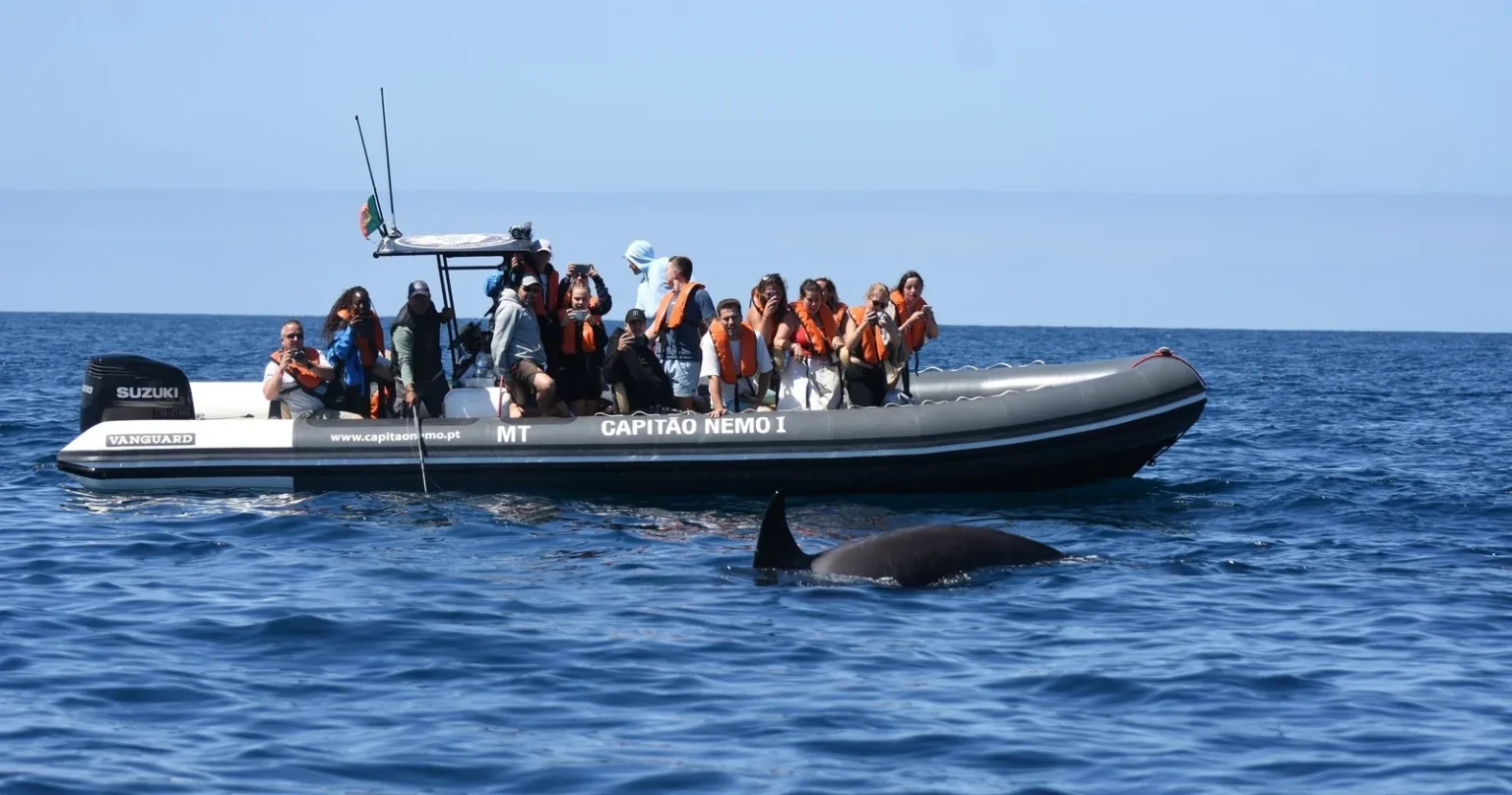 EXPEDITION 🐬 Delfiny i morska dzika przyroda