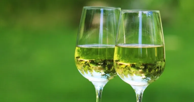 Two glasses of green-tinged white wine against a green background