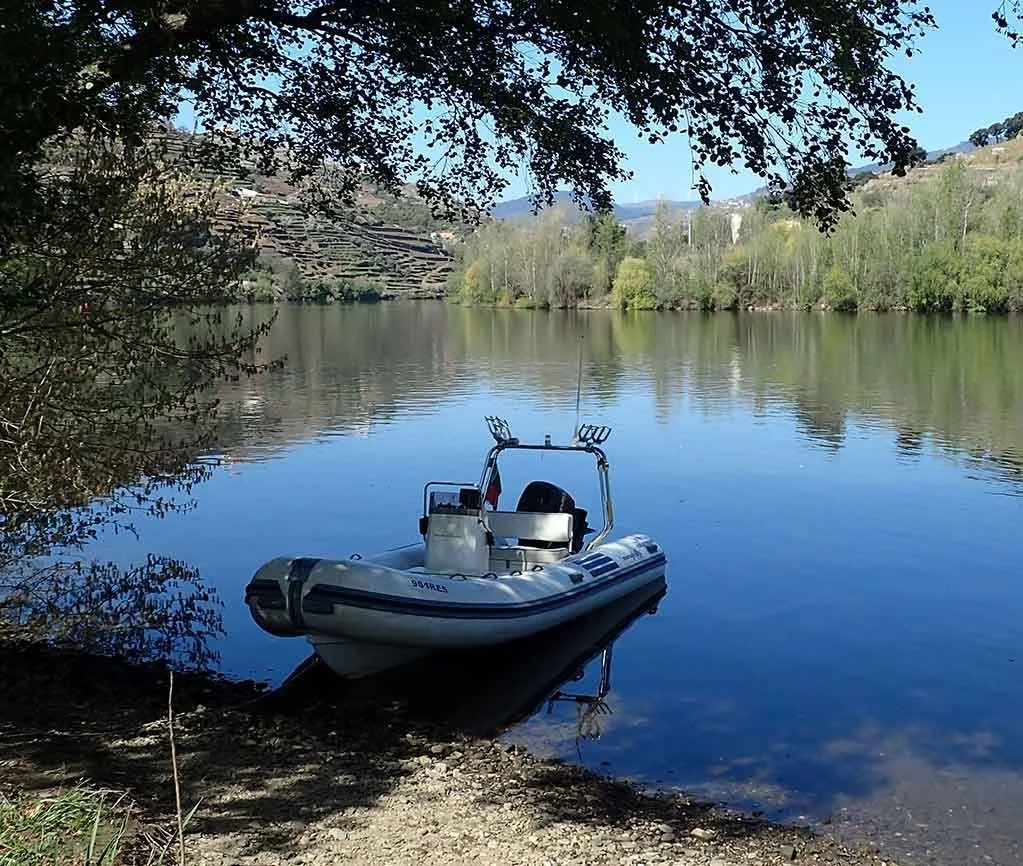 Inflatable boat moored on a quiet river shore