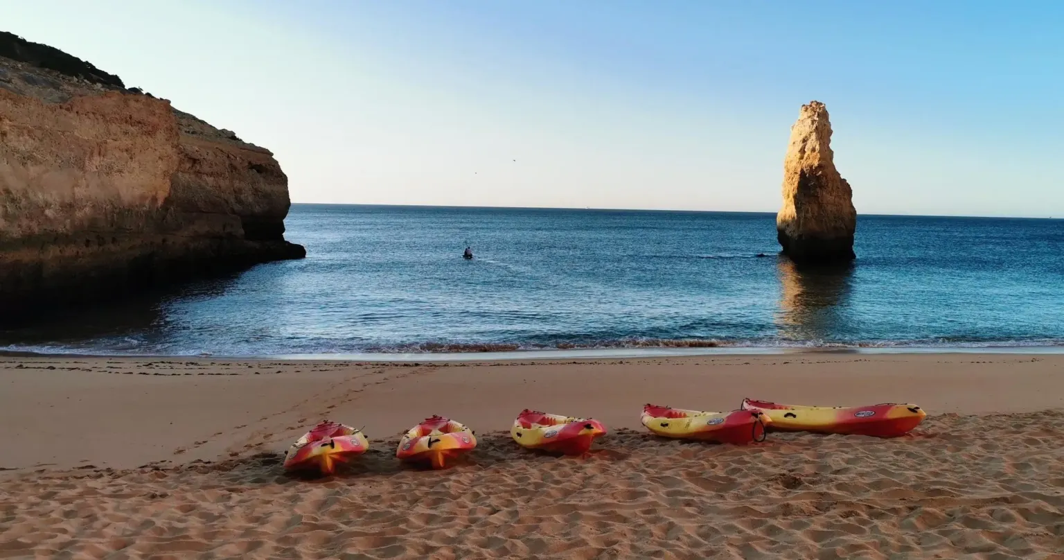 Row of kayaks lined up on a sandy beach below a sea stack