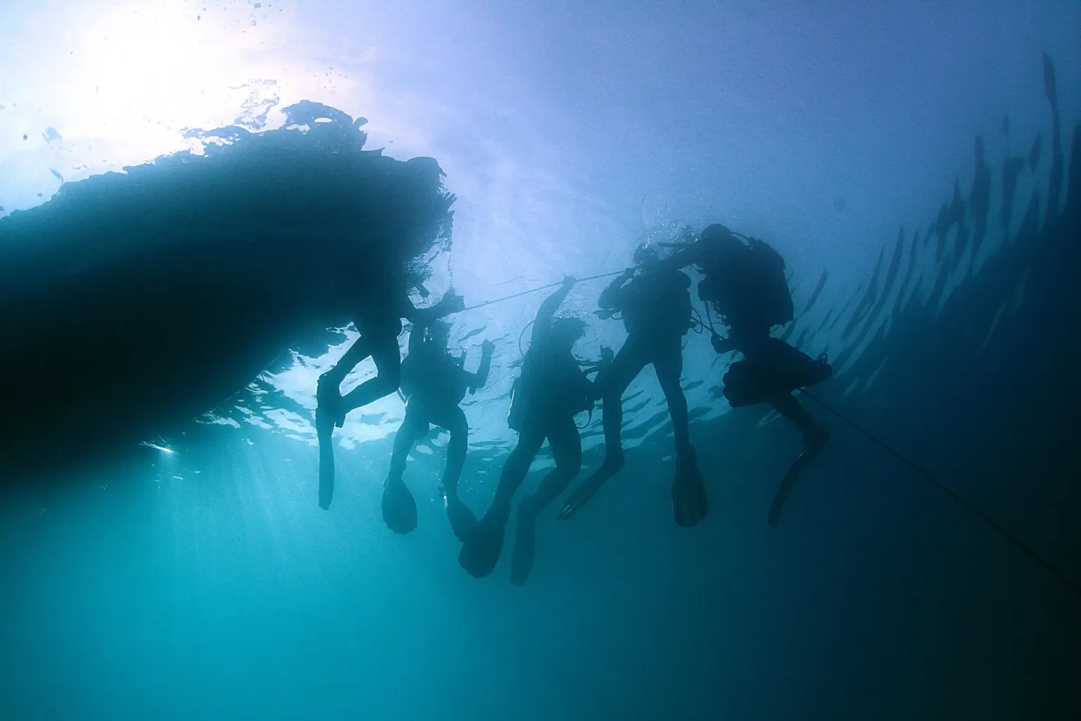 Divers silhouetted beneath a boat hull in blue water