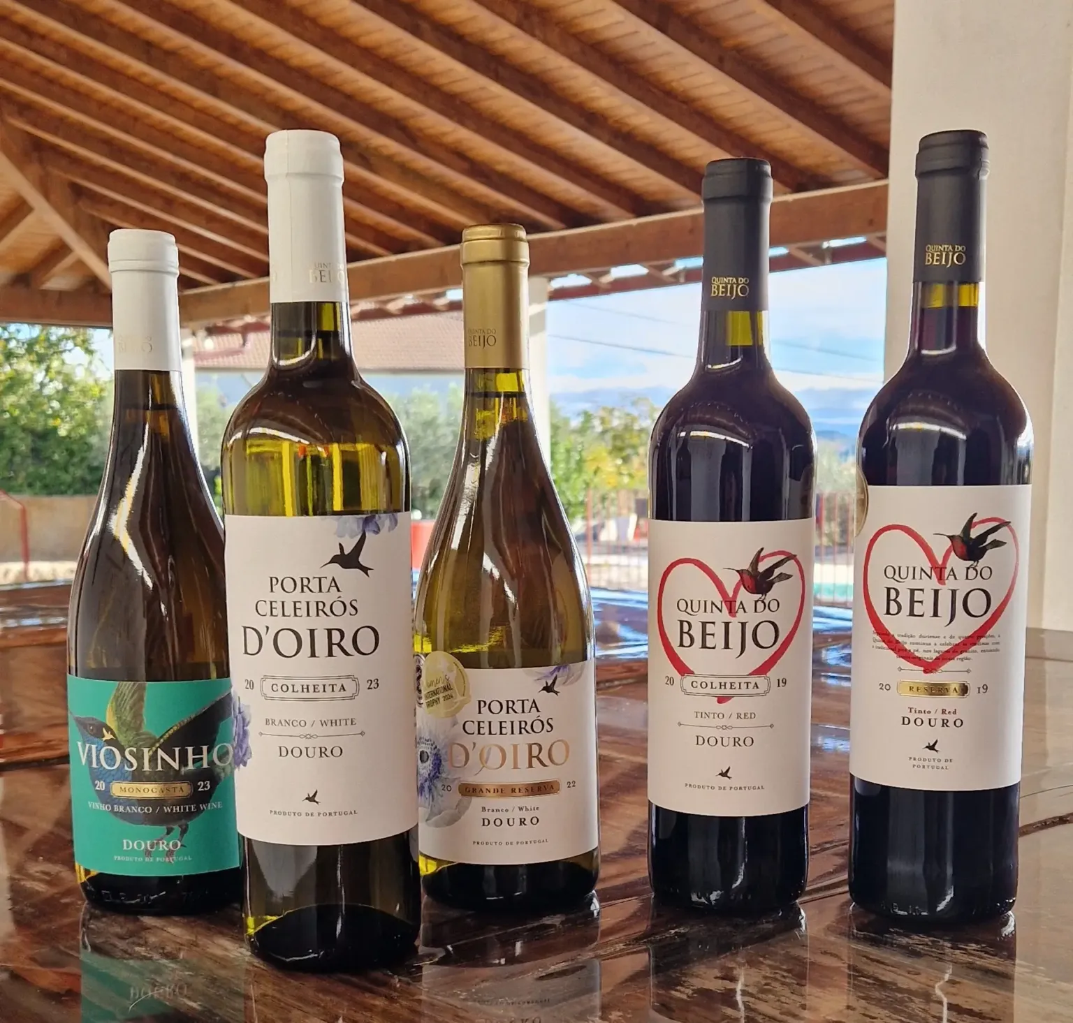 Five bottles of white and red wine on a terrace table