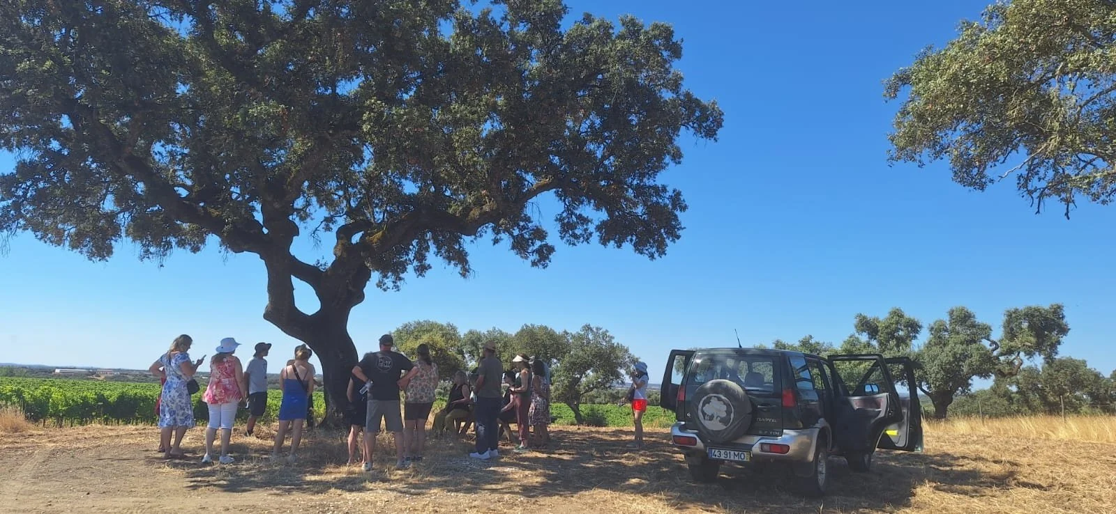 Grupo reunido bajo un árbol junto a un 4x4 en un día soleado