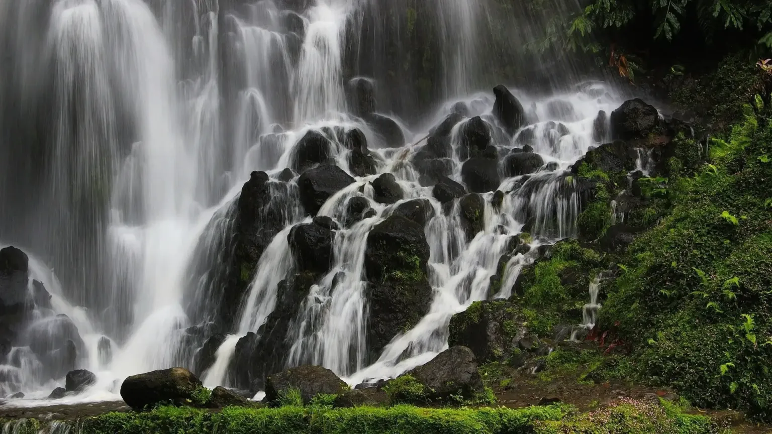Waterfall cascading over dark boulders in a forest