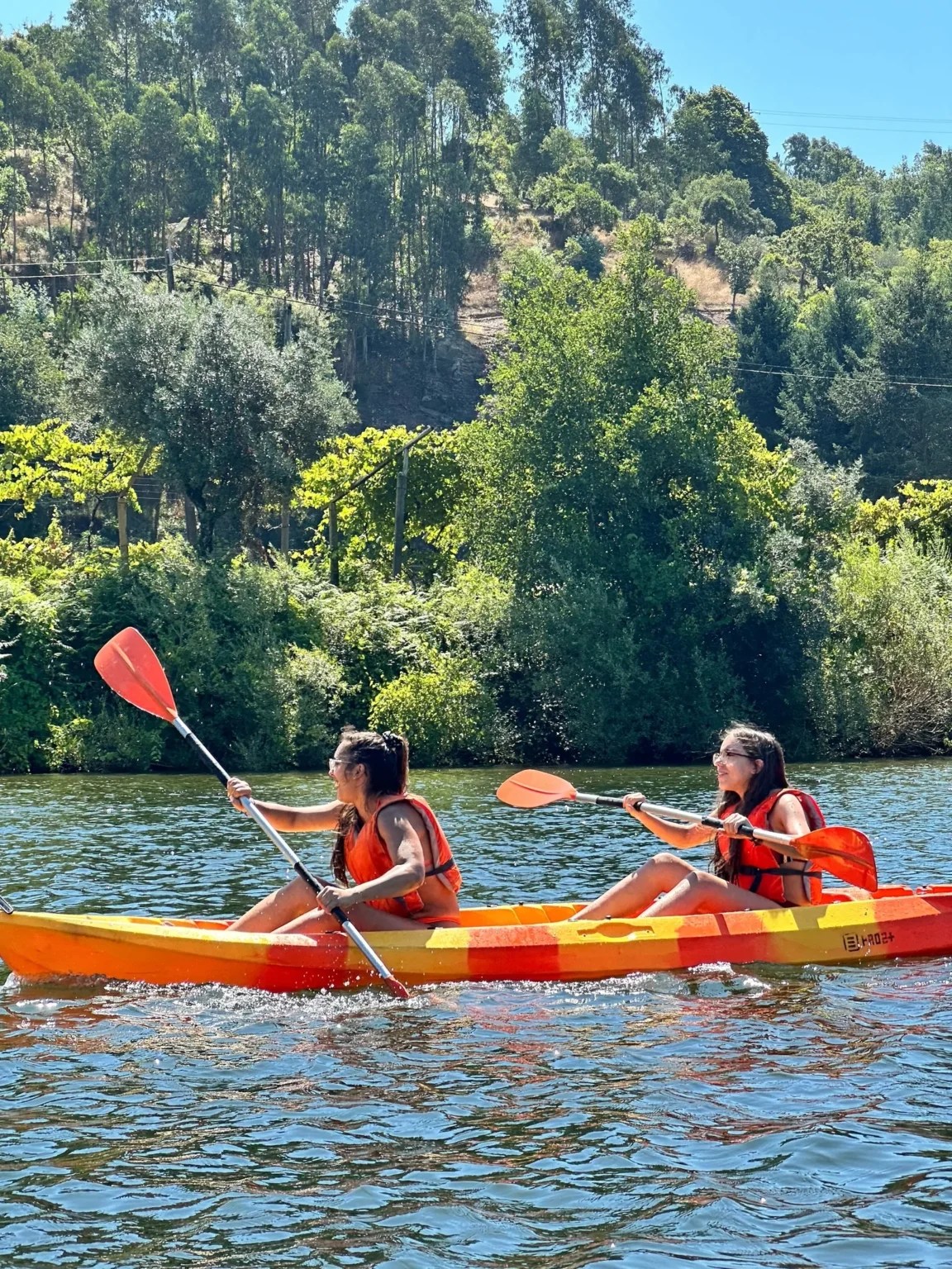Kayak Tour