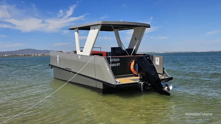 Kleines elektrisches Boot mit flachem Dach liegt im flachen grünen Wasser vor Anker