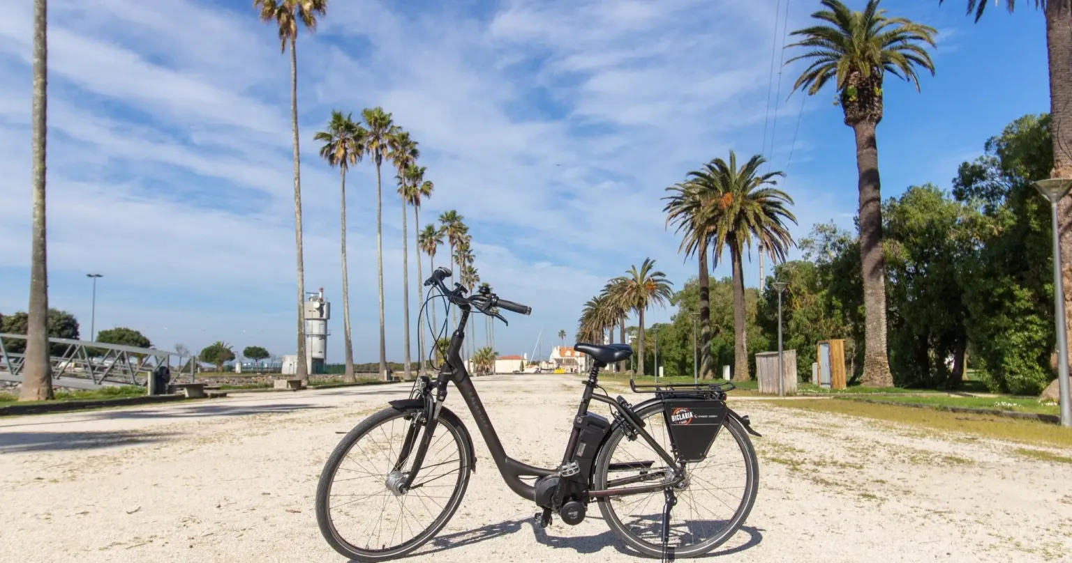 E-bike parked on a sandy square lined with palm trees