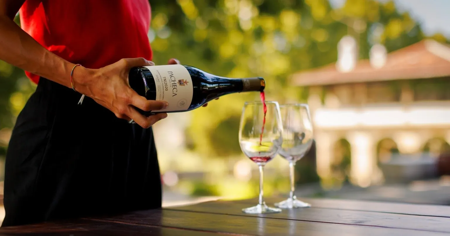 Red wine being poured into glasses on an outdoor table
