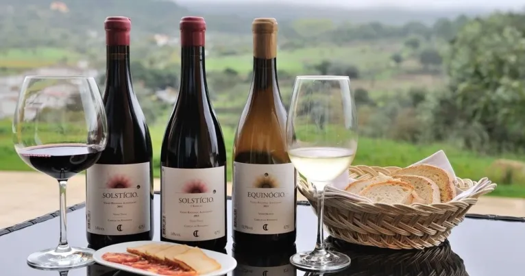 Three wine bottles and glasses on a terrace table with bread and ham, above green hills