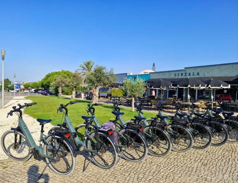 Aluguel de bicicleta elétrica durante todo o dia