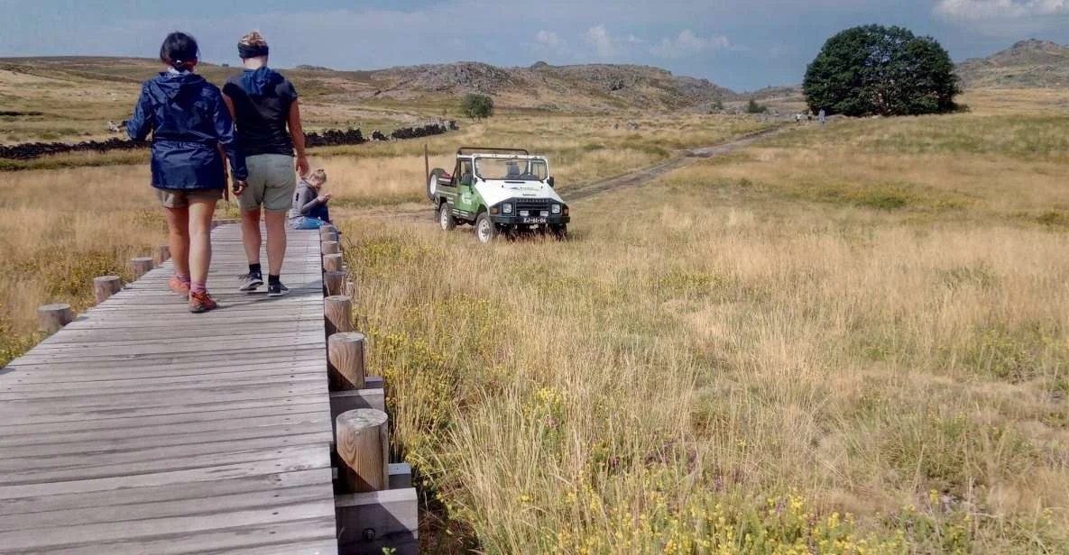Walkers on a boardwalk across tall dry grass, with a 4x4 behind