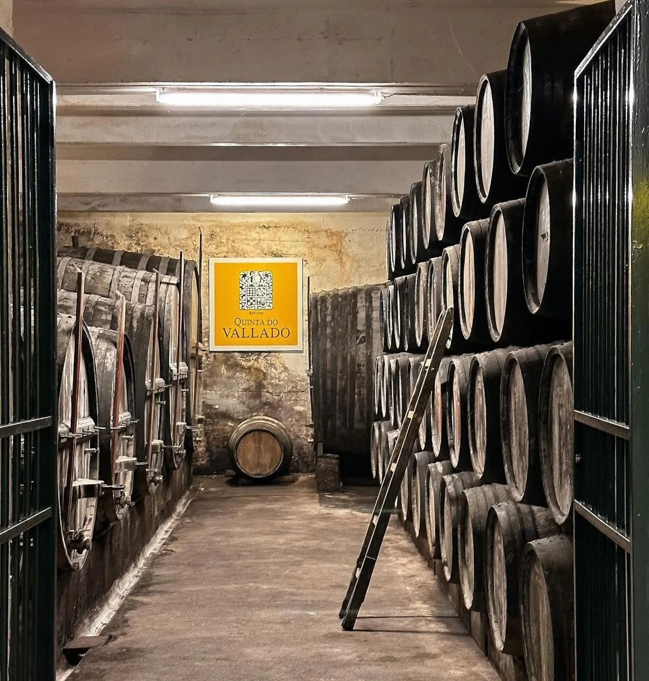 Cellar aisle between large casks with a Sandeman sign