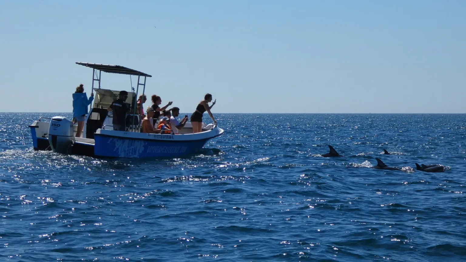 Small boat with passengers following a pod of dolphins