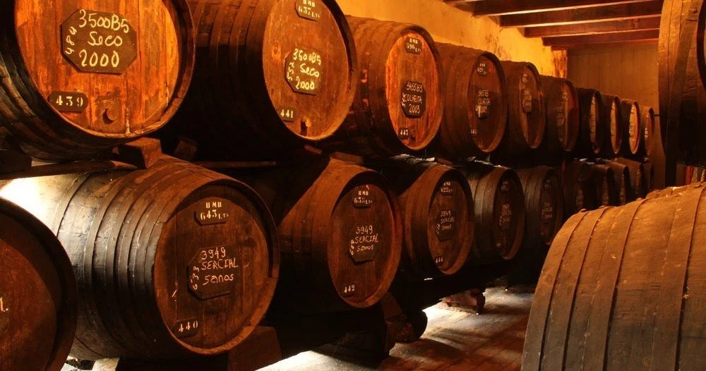 Rows of old casks stacked in a wine lodge