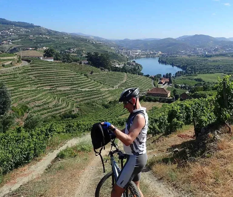 Cyclist beside his bike overlooking terraced vineyards and a river valley