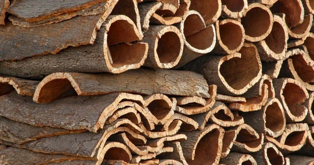 Stacked pieces of cork bark