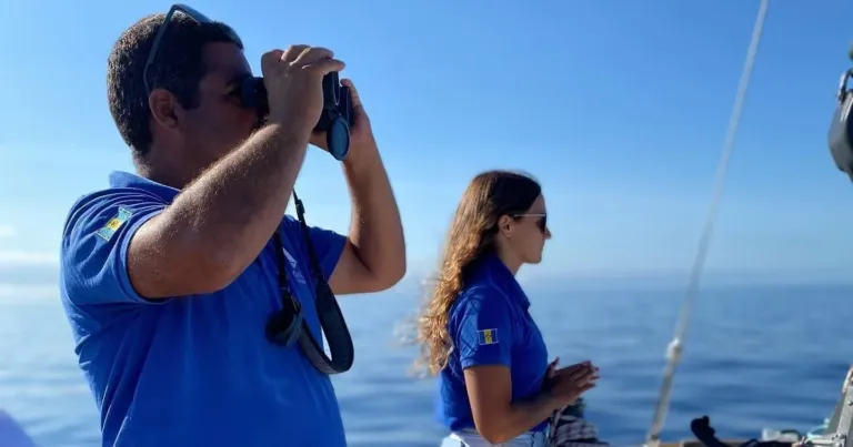 Skipper and a guide with binoculars scanning the sea