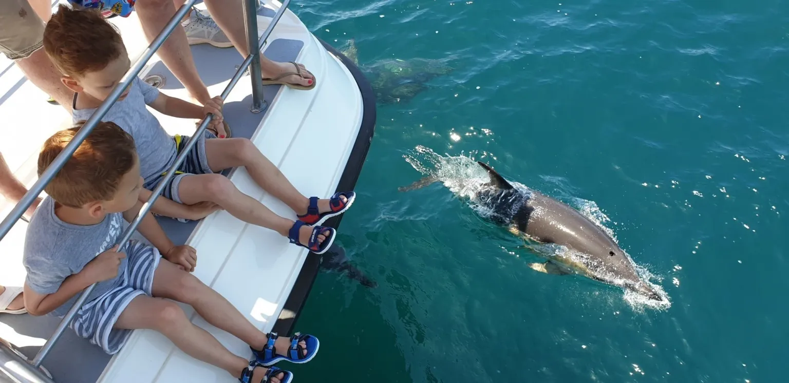 Dolphin swimming beside a boat with passengers' feet on the deck