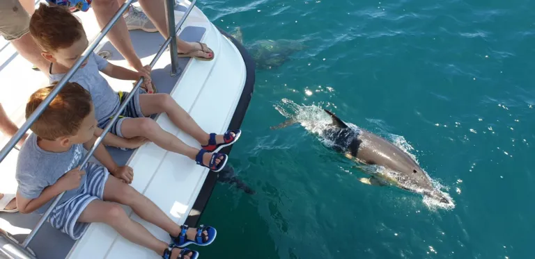 Dolphin swimming beside a boat with passengers' feet on the deck