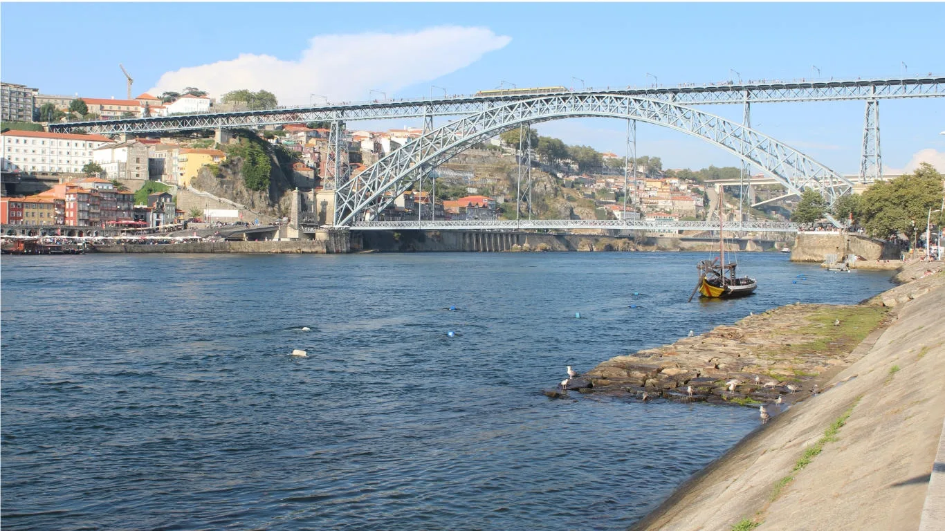 Lo más destacado de Oporto (tour privado a pie)